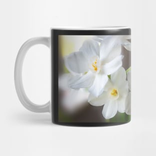 Paperwhites Bouquet Mug